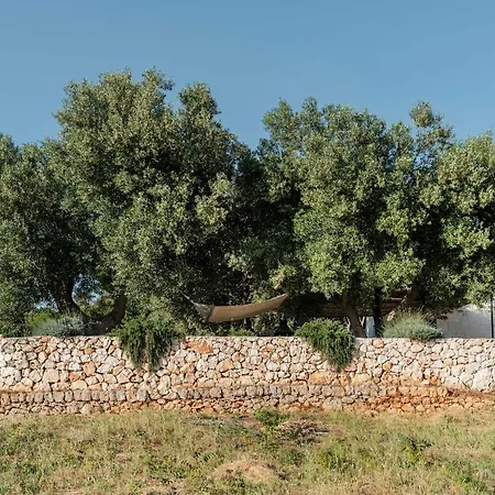 Lamia Cervone Ostuni